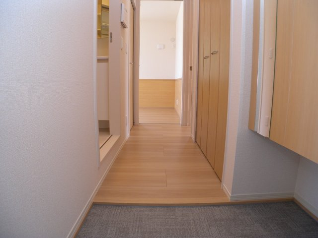 Spiderのその他