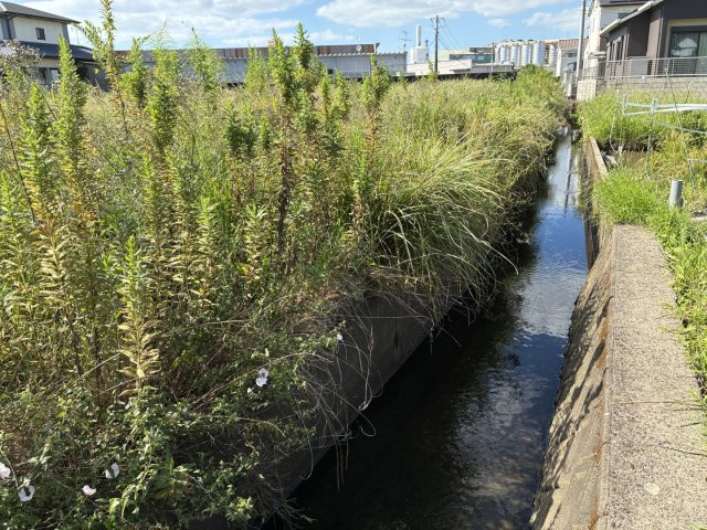 宇土市松山町の売地のその他|水路