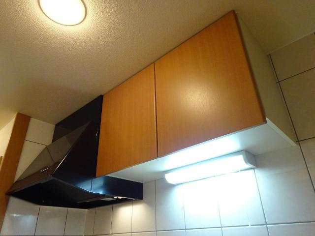 グリーンステージのキッチン|キッチン換気扇・吊戸棚