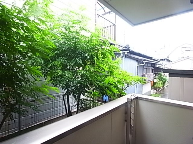 ブルームネクストの展望