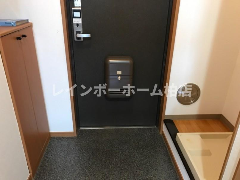 【仲介手数料：50％OFF】対象物件！の玄関|明るい玄関です