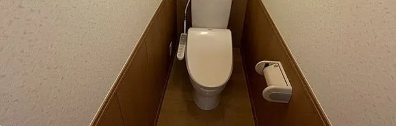 ソリテア中十条のトイレ