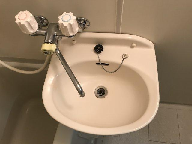ソレーユ中央の洗面所