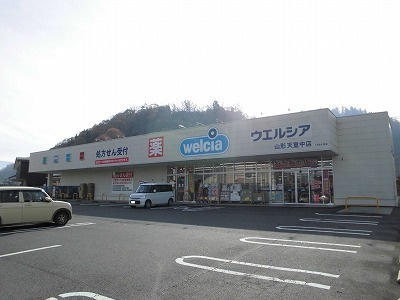 オルテンシア　Ｂのその他|その他