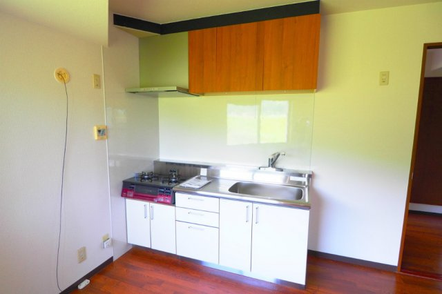 広島市安佐南区東野１丁目の賃貸マンションのキッチン