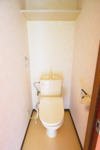 広島市安佐南区東野１丁目の賃貸マンションのトイレ