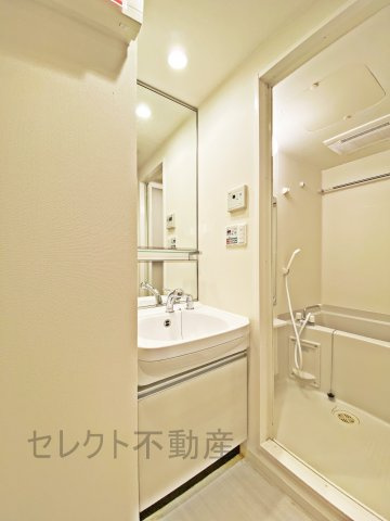 プレサンスジェネ栄の洗面所