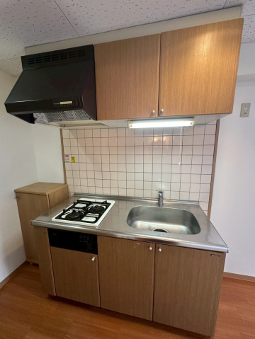 広島市安佐南区川内６丁目の賃貸マンションのキッチン