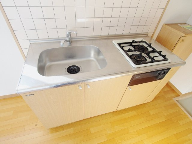 広島市安佐南区川内６丁目の賃貸マンションのキッチン