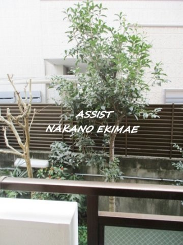 グレイス藤の展望