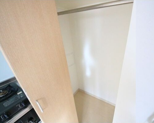 レジディア高岳の収納