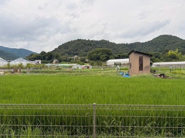 【展望】 | K22275-柊野