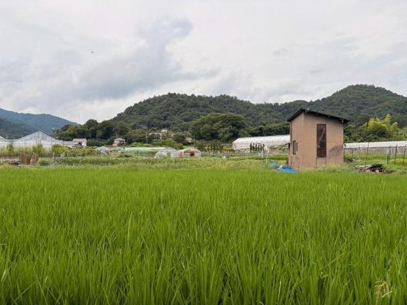 【展望】 | K22275-柊野