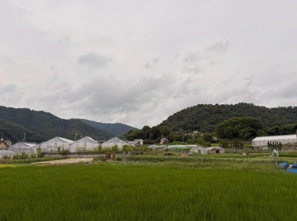 【展望】 | K22275-柊野