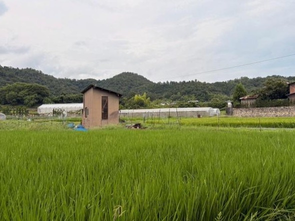 【展望】 | K22275-柊野