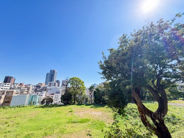 日商岩井恵比寿マンションの展望