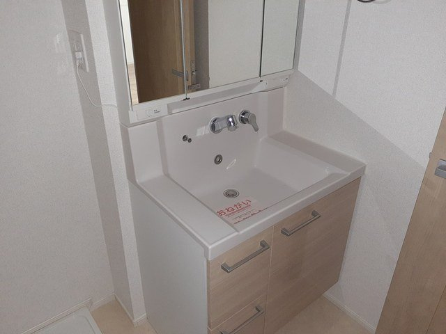 ザ・ビレッジグリーン飾東の洗面所