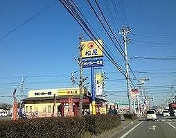 レオパレストゥジュールの周辺