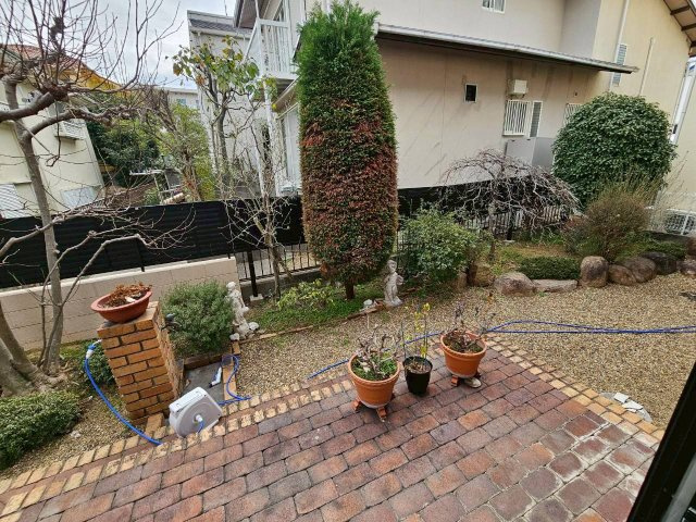 木津山町貸家の庭