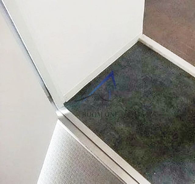 レオーネ亀戸の玄関|玄関です。