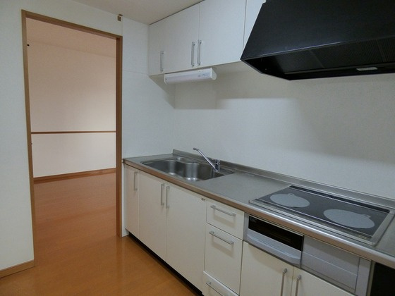 熊本市中央区国府本町の賃貸マンションのキッチン