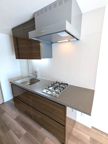 The Parkhabio上野御徒町のキッチン|ガス2口システムカウンターキッチン、奥まで整理収納しやすい手前にスライドする収納です