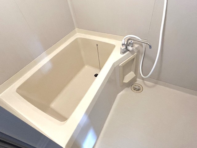 レジデンスきくちAの浴室
