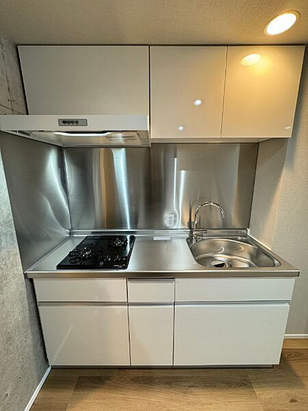 Ｗｉｓｔｅｒｉａ本郷のキッチン|スペースたっぷりなキッチン。