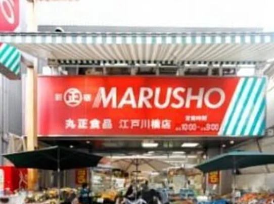 藤和シティホームズ文京音羽の周辺