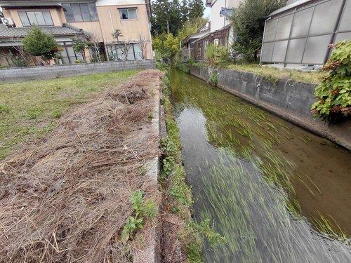 新発田市大栄町7丁目　土地のその他|現地（2026年8月）撮影