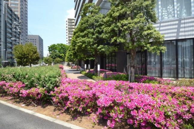 【その他】 | パークハウス清澄白河タワー