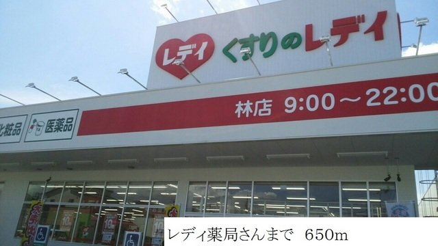 フォーリーフ林の周辺|レディ薬局まで650m