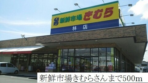 フォーリーフ林の周辺|きむらまで500m