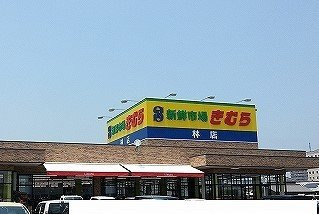 トイロ・リンの周辺|新鮮市場きむら　林店まで600m