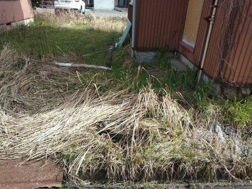 新潟市西区寺尾東2丁目　土地のその他|現地（2023年3月）撮影