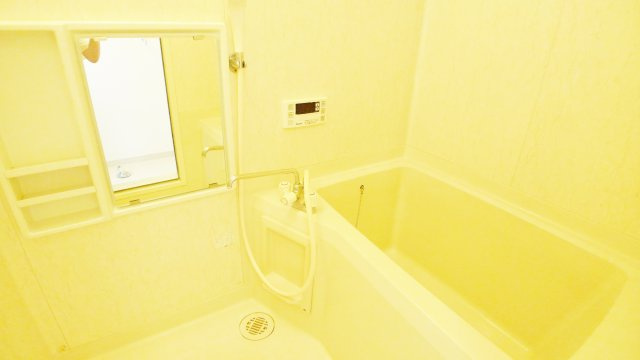 パークハイムＣの浴室