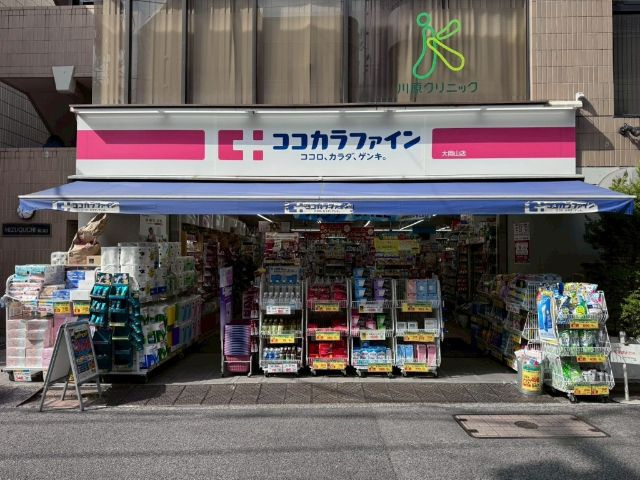 WELLNEST　ROOM　大岡山 Roomの周辺