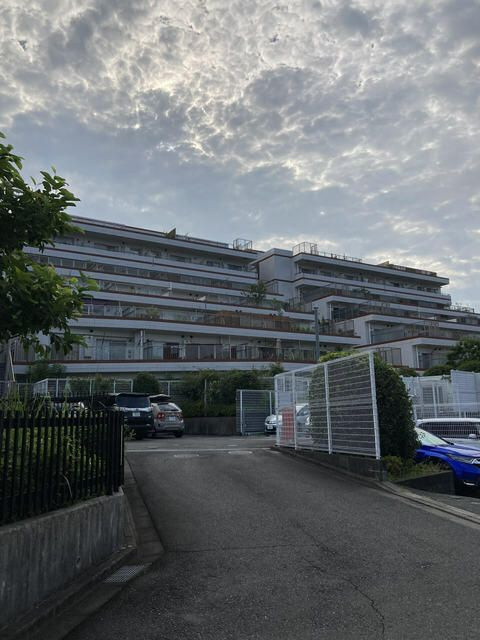 アデニウム玉川学園の画像