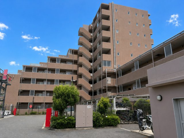 クリオ柏
