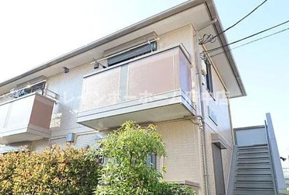 カメリア