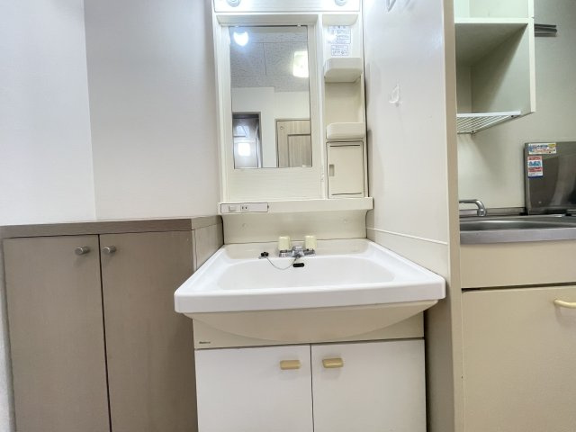 寝屋川市高宮栄町の賃貸マンションの独立洗面台