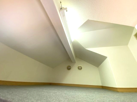 豊中市走井一丁目戸建の収納|屋根裏収納！