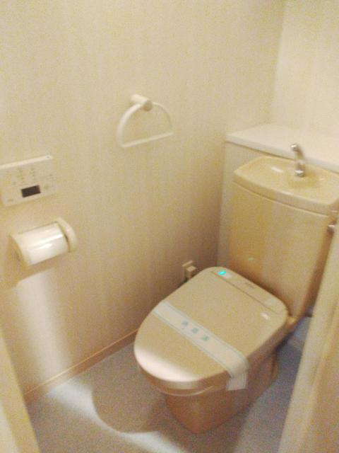 ライオンズシティ阿佐ヶ谷　２０３号室のトイレ