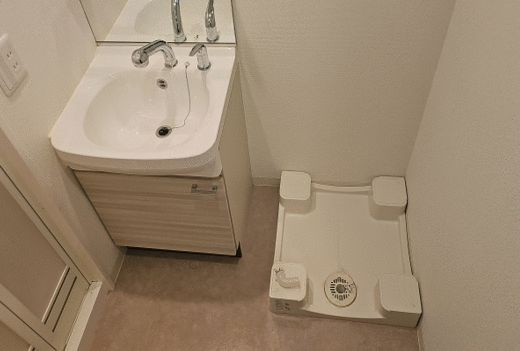 プレサンス丸の内レジデンスの洗面所