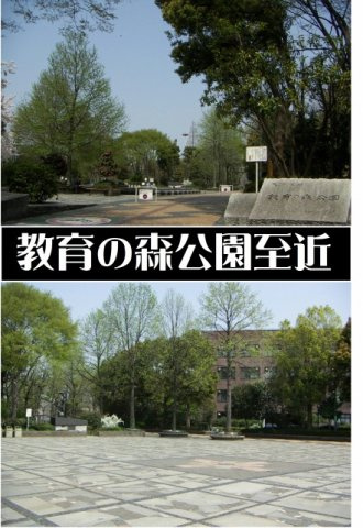 【展望】