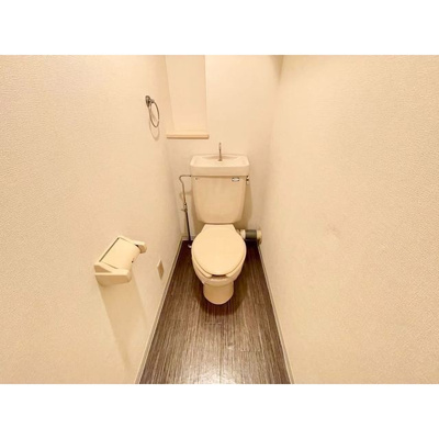 【トイレ】 | メゾン・ド・ソフィア高野台 | 落ち着いた色調のトイレです