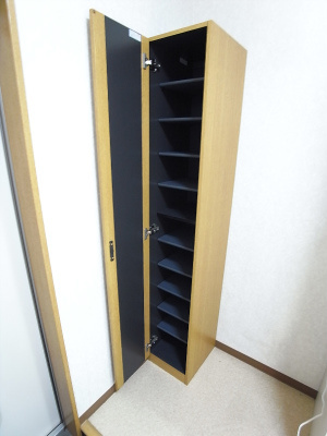リリックコートスカイⅡの玄関