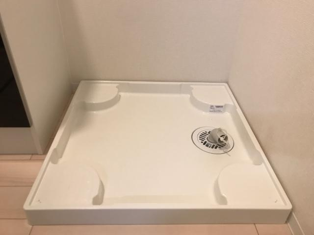 ドルフパークのその他|その他