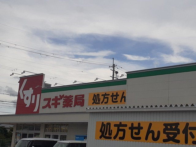 イーストビレッジの周辺|スギドラッグ富田林若松店様まで945m