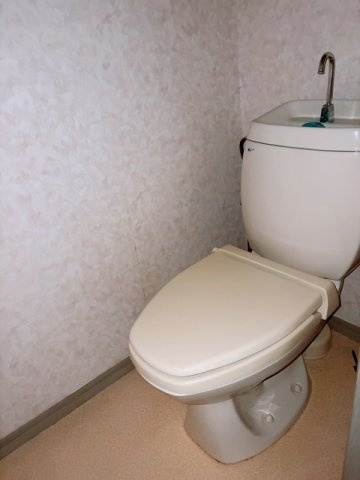 東洋パレスのトイレ|トイレも気になるポイント